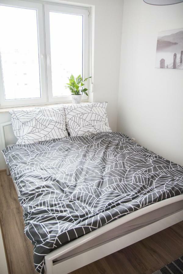 Apartament F&J Stary Toruń Kültér fotó
