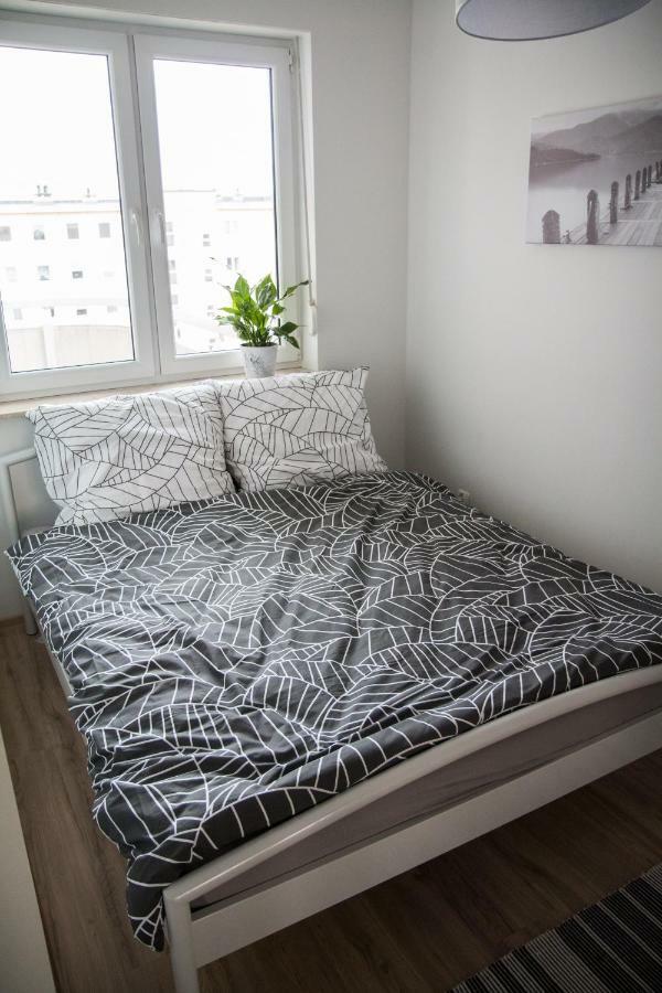Apartament F&J Stary Toruń Kültér fotó